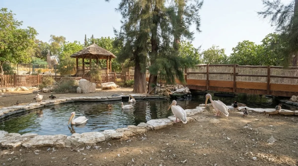 Limassol Zoo