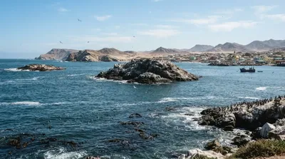 Penguin Island