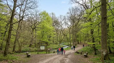 Dalby Söderskog National Park