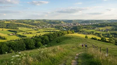 Dutch Hills