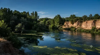 Henares river