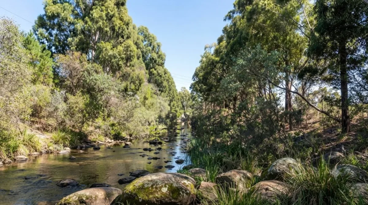 Gardiners Creek
