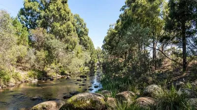 Gardiners Creek