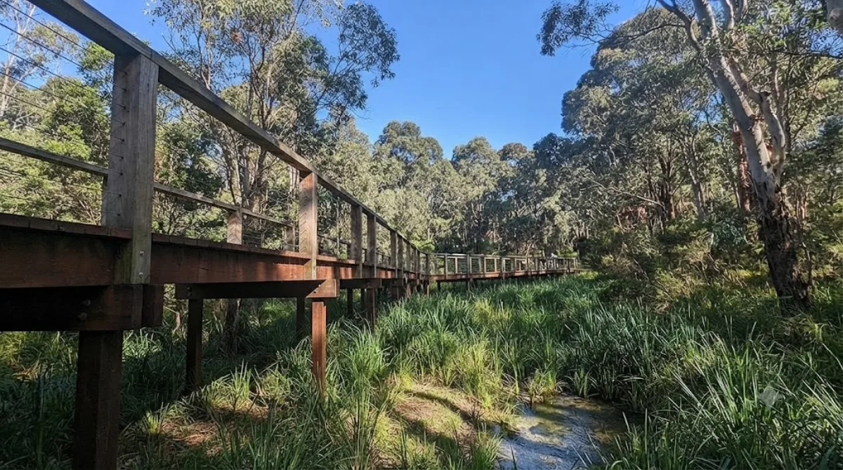 Koonung Creek