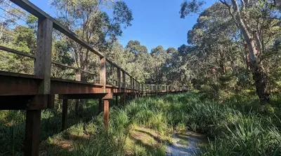 Koonung Creek