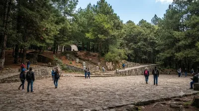 Desierto de los Leones National Park