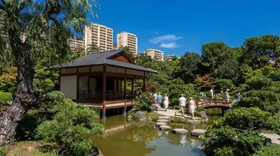 Japanese Garden