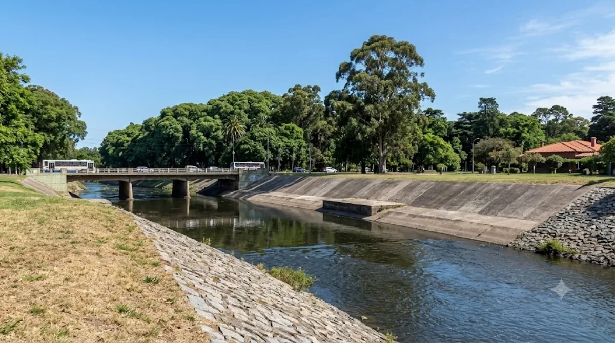 Miguelete Creek