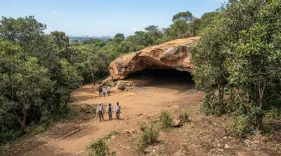 Ngong Forest