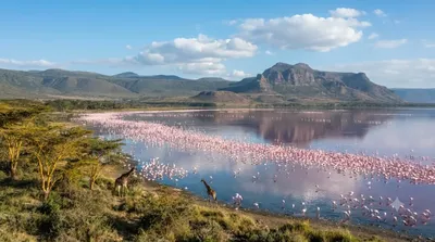 Nakuru