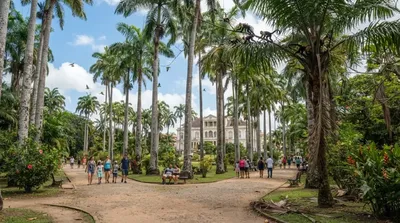 Garden of Palms