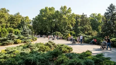 Danube Park