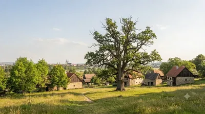 Častava