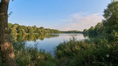 Chomoutovské jezero