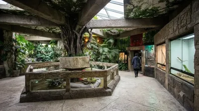 Zoologischer Garten und Aquarium Osijek