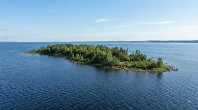 Kahvankari