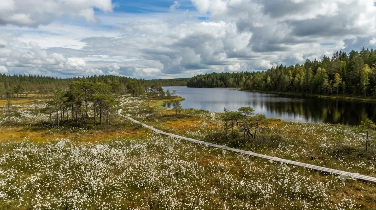 Niilesjärvi