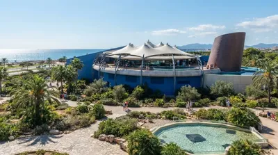 Palma Aquarium