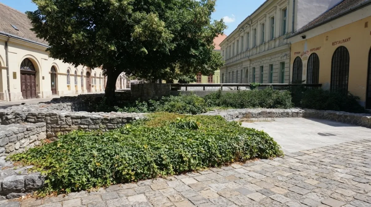 Ruins of Pasha Memi's bath