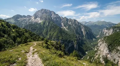 Kopranik