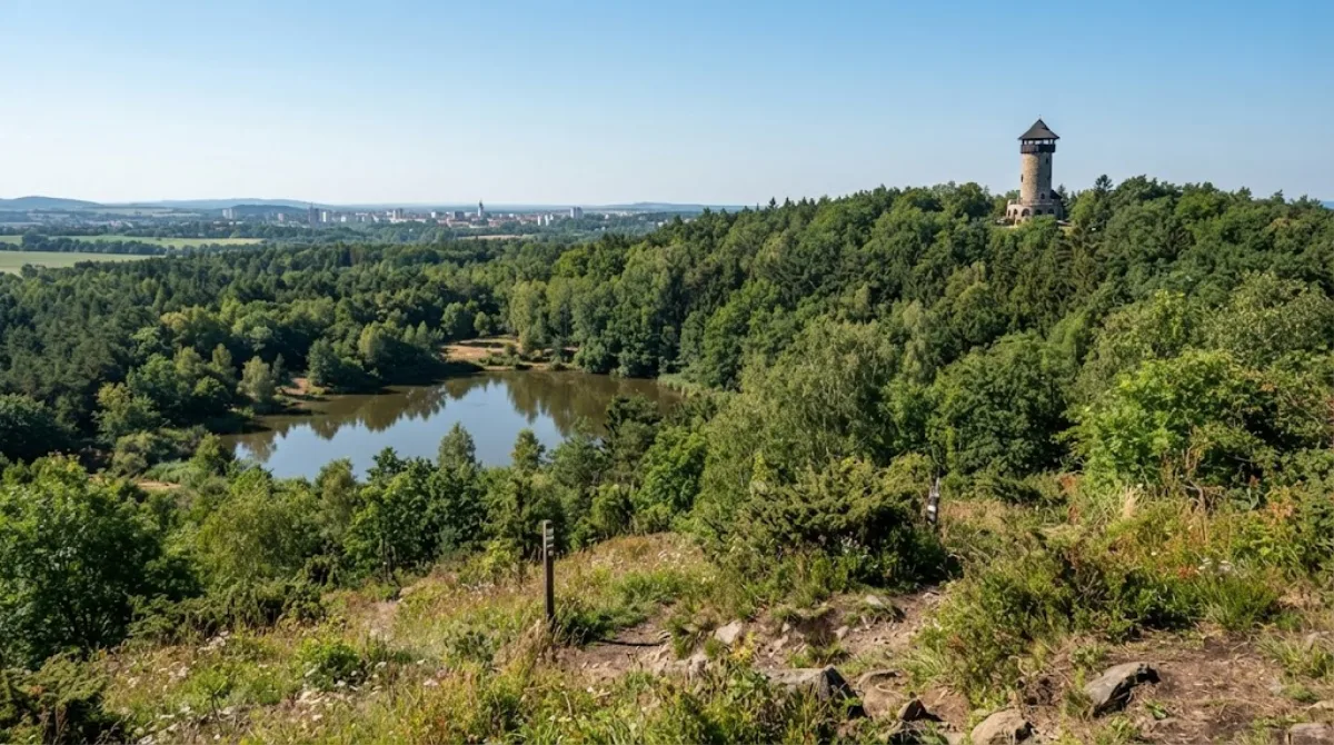 Krkavec