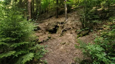 Petrovka