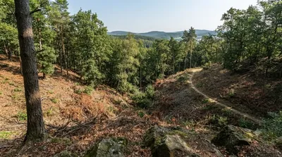 Sedlecká rokle