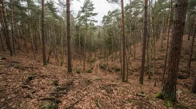 Sutice (natural monument)
