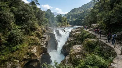 Davis Falls