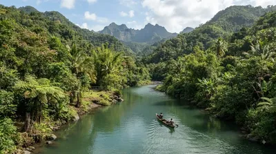 Aouya River