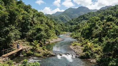 Beauplan River