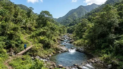 Bell Hall River