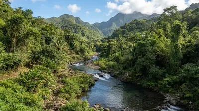 River Bouleau
