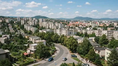 Šváby