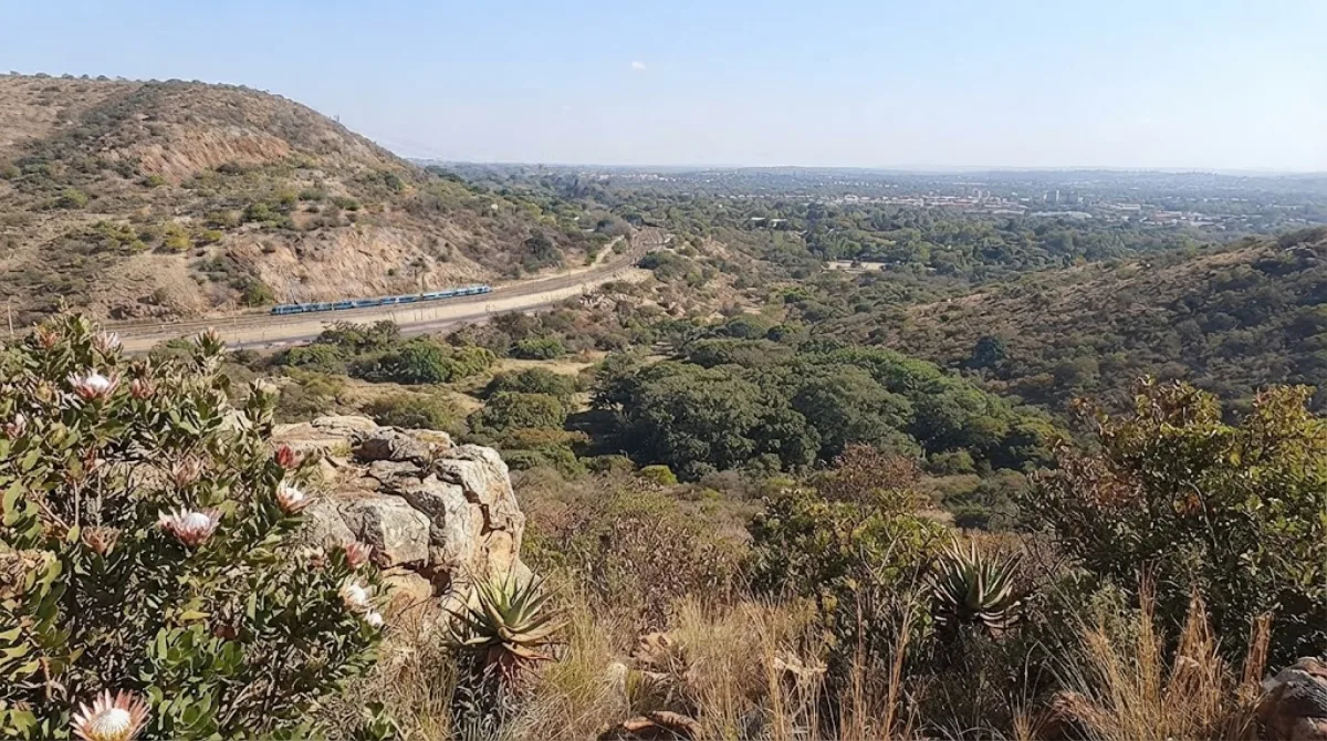 Wonderboom Nature Reserve