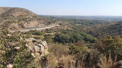 Wonderboom Nature Reserve