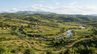 Drenica