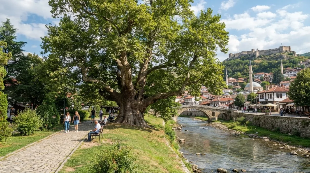 Rrapi i Marashit