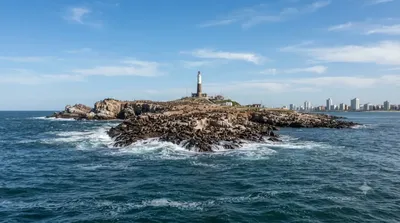 Isla de Lobos