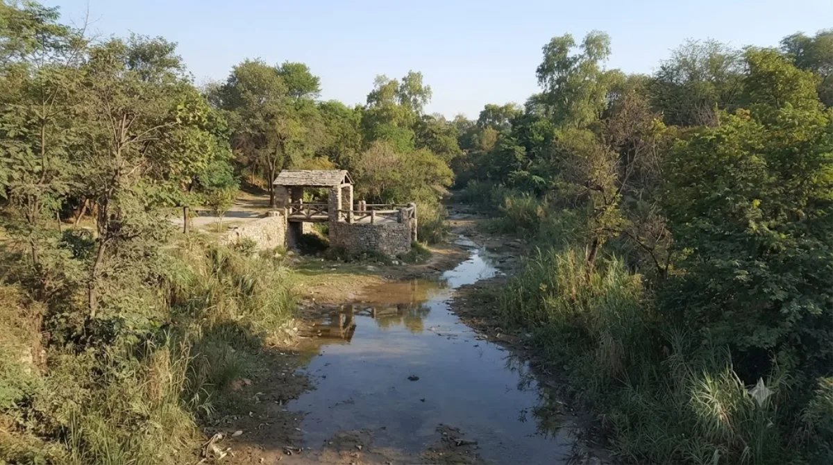 Parc national Ayub