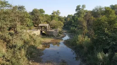 Ayub National Park