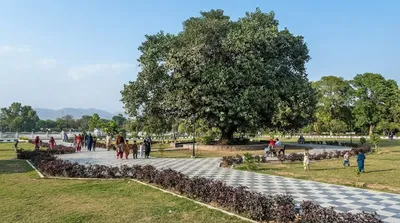 Parc Jinnah