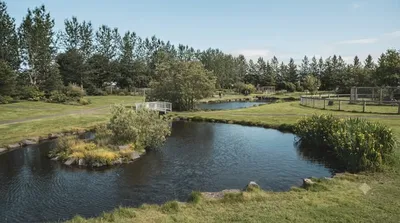Reykjavík Park and Zoo