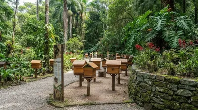 Rio de Janeiro Botanical Garden