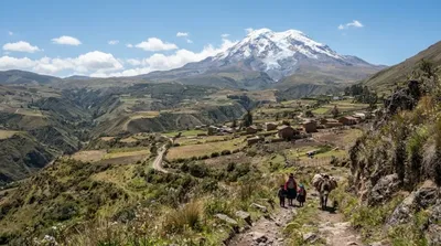 Chamorrohuichi