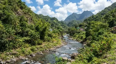 Check Hall River