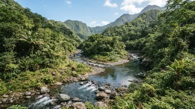 Tarou River