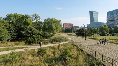 Parc Matisse