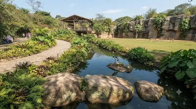 São Paulo Zoo