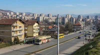 Alipašino polje
